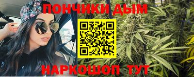 гашик Тулун