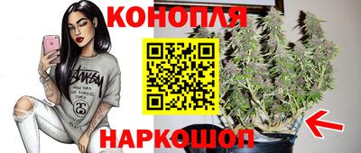 МДПВ Татарск