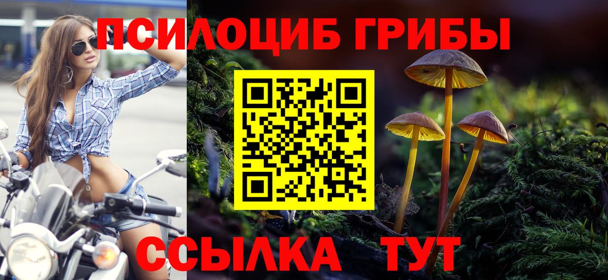 Галлюциногенные грибы мицелий  Вход с VPN  Луховицы  где купить наркоту  Псилоцибиновые грибы MAGIC MUSHROOMS 