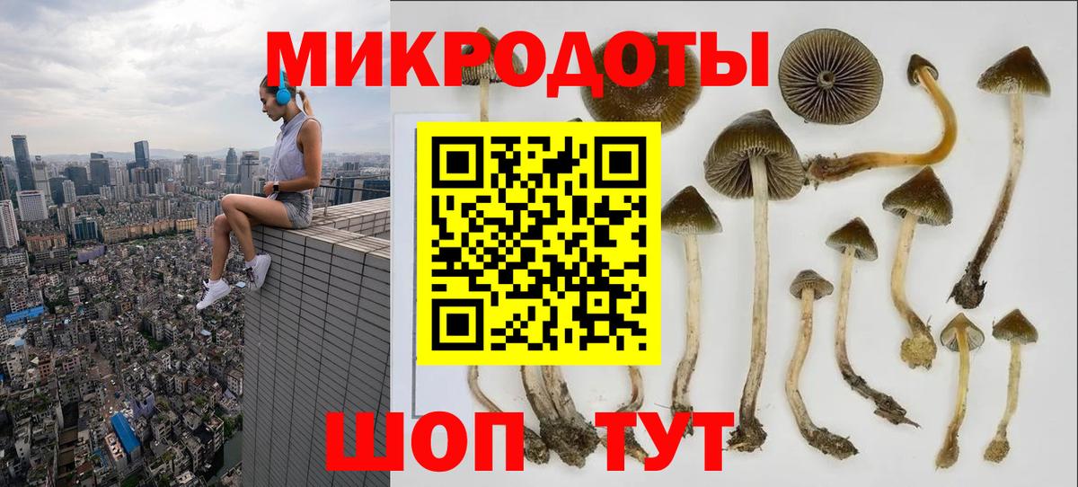 Псилоцибиновые грибы мухоморы Луховицы
